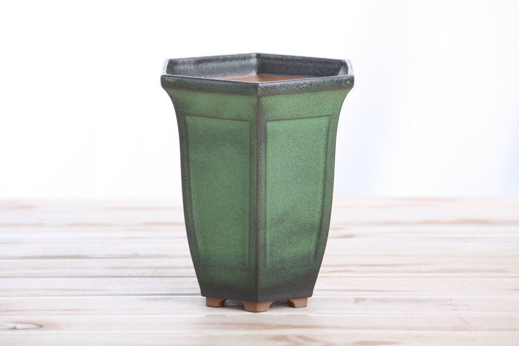 Willow Bonsai Ceramics Hexagonal Windowed Cascade Bonsai Pot 5 Inch – Tall Ceramic Cascade Planter, High‑Fired Frost‑Proof Stoneware with Drainage & Wiring Holes, Handmade in USA (Avocado)