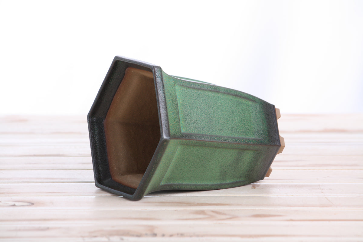 Willow Bonsai Ceramics Hexagonal Windowed Cascade Bonsai Pot 5 Inch – Tall Ceramic Cascade Planter, High‑Fired Frost‑Proof Stoneware with Drainage & Wiring Holes, Handmade in USA (Avocado)