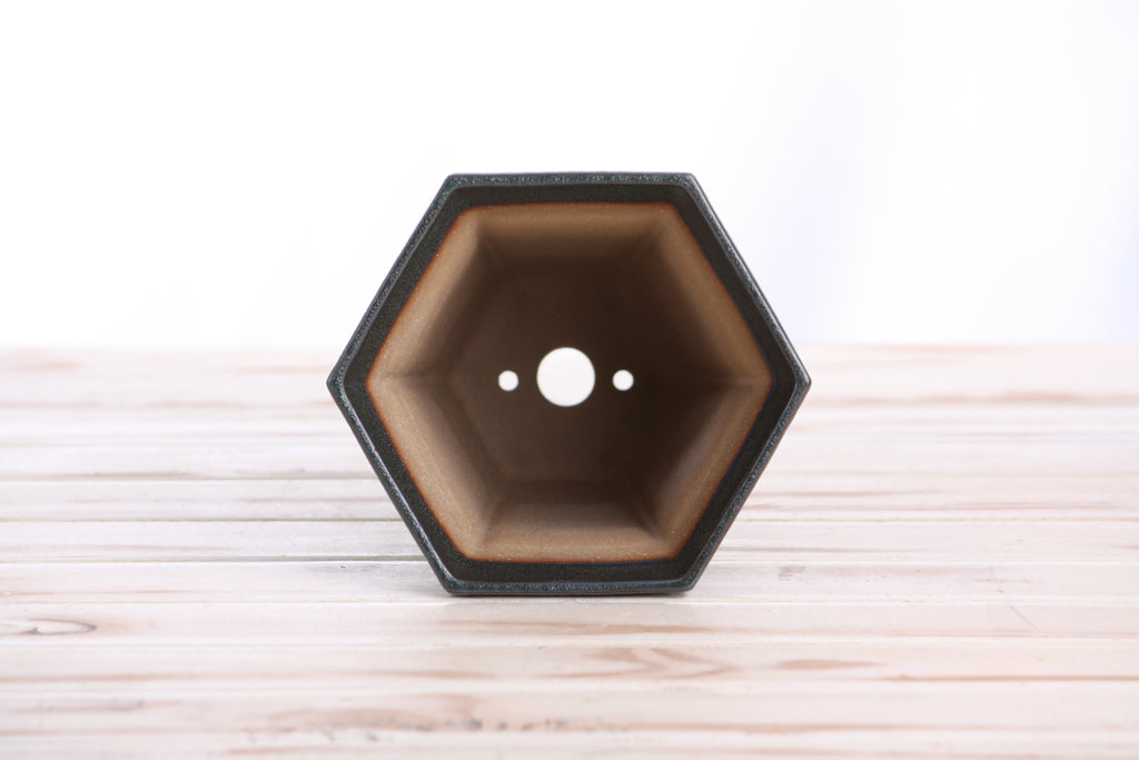 Willow Bonsai Ceramics Hexagonal Windowed Cascade Bonsai Pot 5 Inch – Tall Ceramic Cascade Planter, High‑Fired Frost‑Proof Stoneware with Drainage & Wiring Holes, Handmade in USA (Avocado)