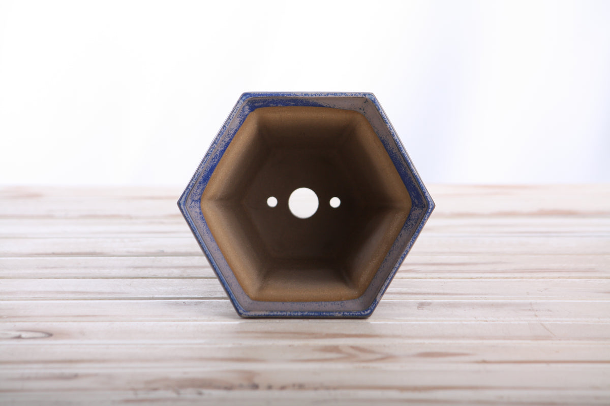 Willow Bonsai Ceramics Hexagonal Windowed Cascade Bonsai Pot 5 Inch – Tall Ceramic Cascade Planter, High‑Fired Frost‑Proof Stoneware with Drainage & Wiring Holes, Handmade in USA (Ocean)