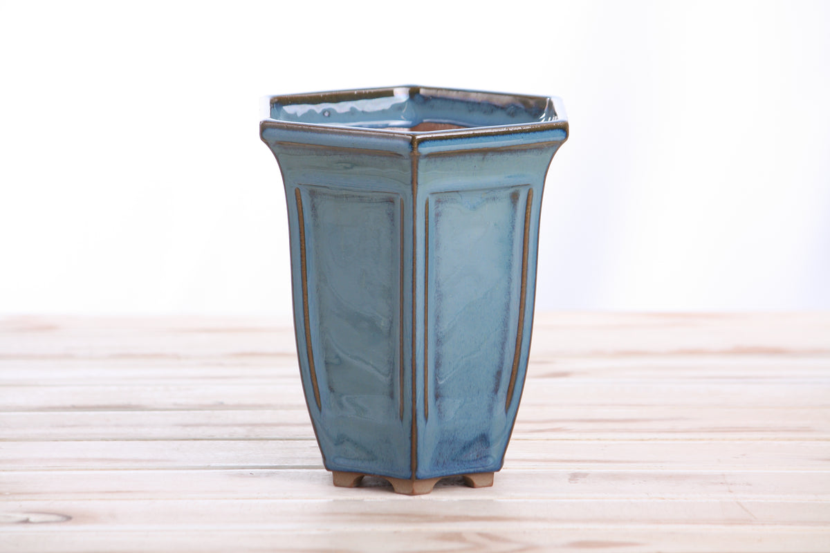 Willow Bonsai Ceramics Hexagonal Windowed Cascade Bonsai Pot 5 Inch – Tall Ceramic Cascade Planter, High‑Fired Frost‑Proof Stoneware with Drainage & Wiring Holes, Handmade in USA (Peacock)