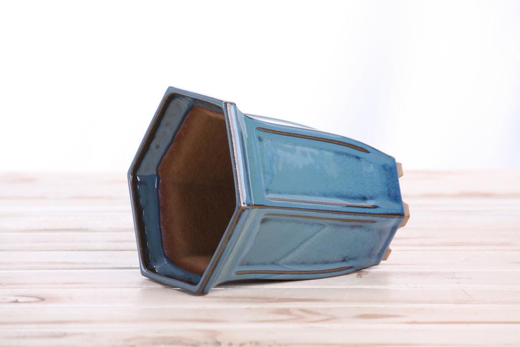 Willow Bonsai Ceramics Hexagonal Windowed Cascade Bonsai Pot 5 Inch – Tall Ceramic Cascade Planter, High‑Fired Frost‑Proof Stoneware with Drainage & Wiring Holes, Handmade in USA (Peacock)