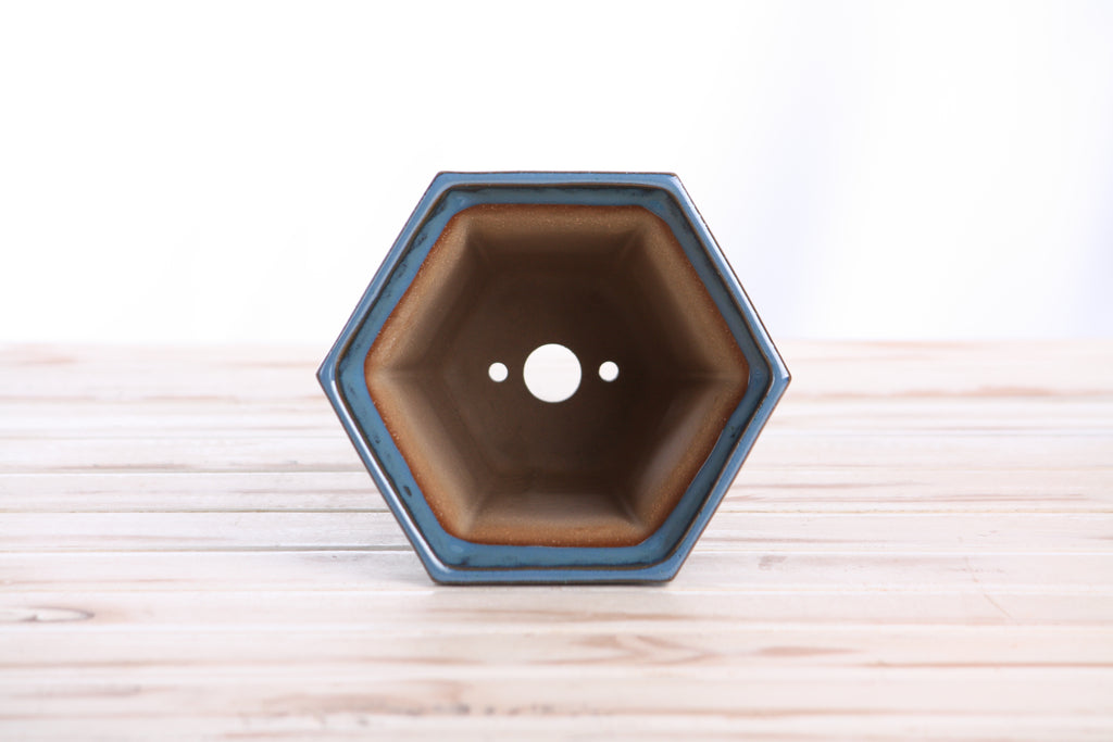Willow Bonsai Ceramics Hexagonal Windowed Cascade Bonsai Pot 5 Inch – Tall Ceramic Cascade Planter, High‑Fired Frost‑Proof Stoneware with Drainage & Wiring Holes, Handmade in USA (Peacock)