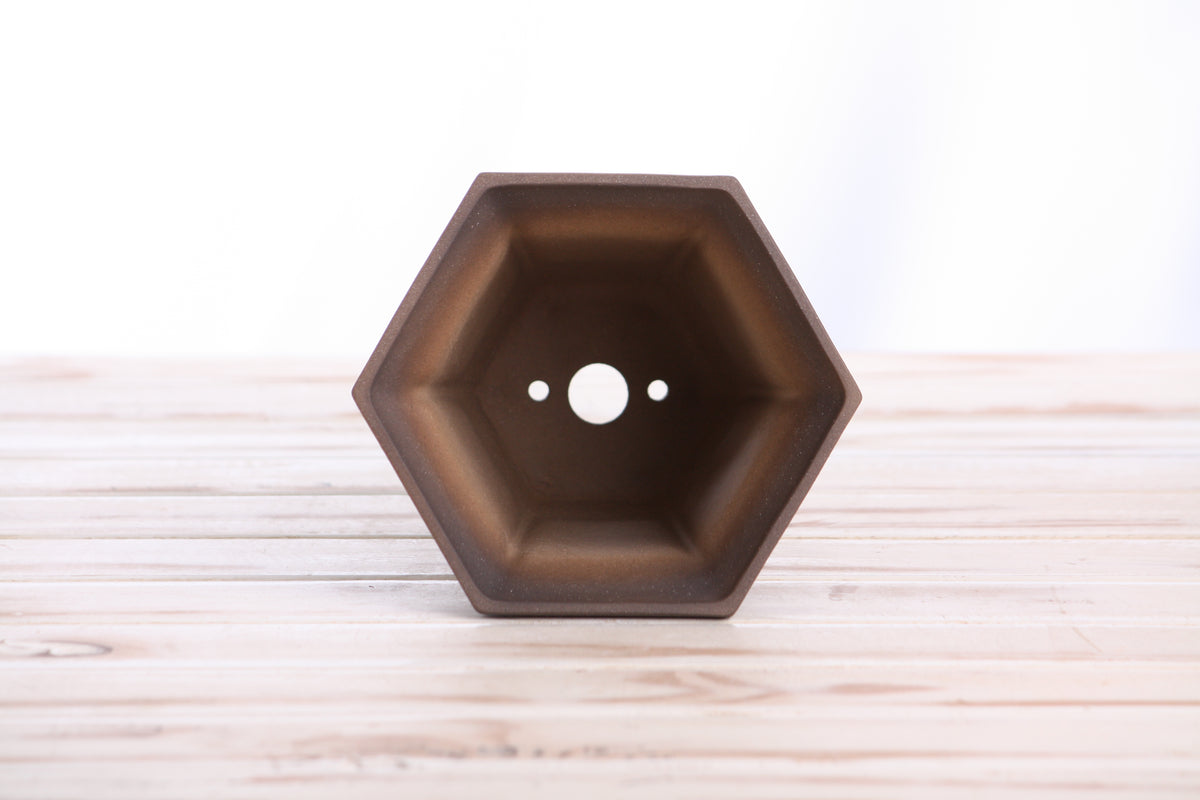 Willow Bonsai Ceramics Hexagonal Windowed Cascade Bonsai Pot 5 Inch – Tall Ceramic Cascade Planter, High‑Fired Frost‑Proof Stoneware with Drainage & Wiring Holes, Handmade in USA (Shaded Unglazed)