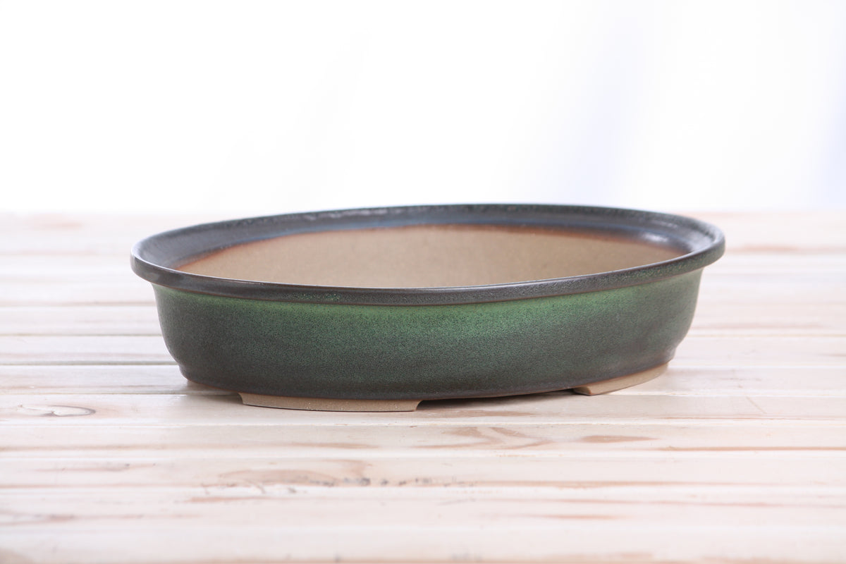 Willow Bonsai Ceramics Landscape Oval A Bonsai Pot 10 Inch – Large Oval Ceramic Bonsai Planter for Forest, Group & Specimen Tree Plantings, High‑Fired Frost‑Proof Stoneware, Handmade in USA (Avocado)