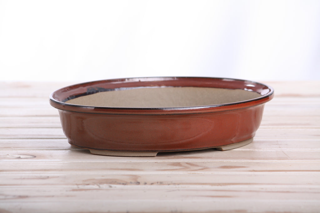 Willow Bonsai Ceramics Landscape Oval A Bonsai Pot 10 Inch – Large Oval Ceramic Bonsai Planter for Forest, Group & Specimen Tree Plantings, High‑Fired Frost‑Proof Stoneware, Handmade in USA (Sunset)