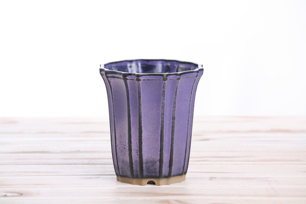 Willow Bonsai Ceramics Flower Design Cascade Bonsai Pot 4.5 Inch – Elegant Tall Ceramic Bonsai & Succulent Planter, High‑Fired Frost‑Proof Stoneware with Drainage & Wiring Holes, Handmade in USA (Purple)