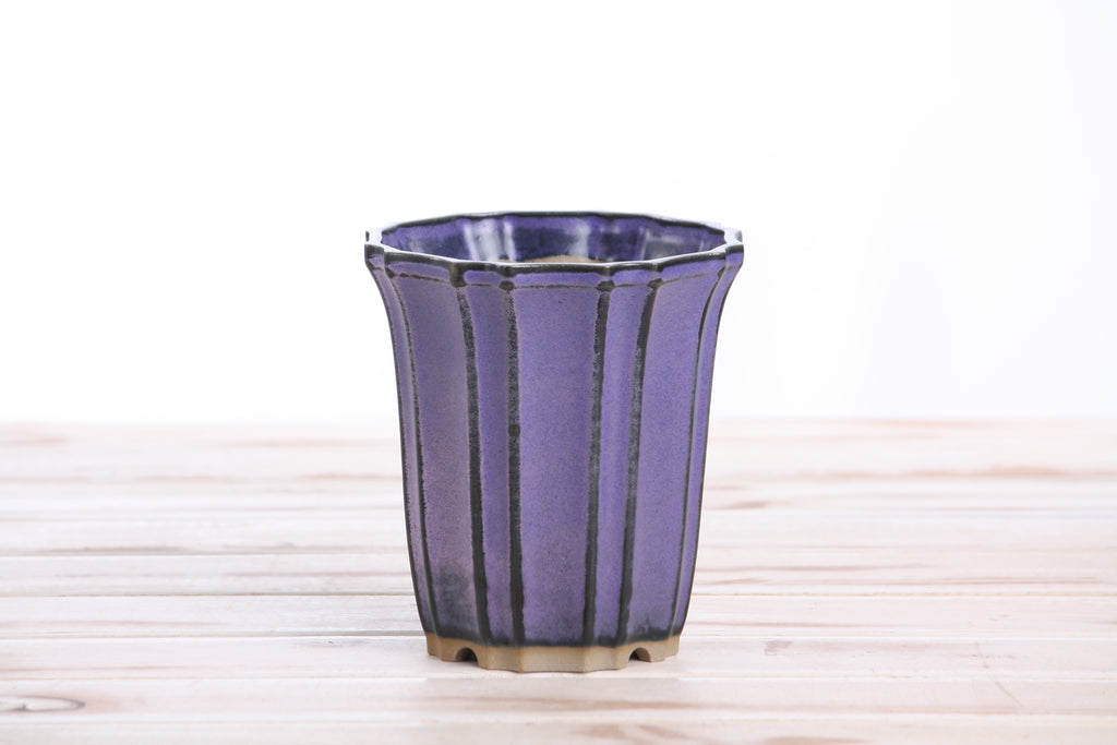 Willow Bonsai Ceramics Flower Design Cascade Bonsai Pot 4.5 Inch – Elegant Tall Ceramic Bonsai & Succulent Planter, High‑Fired Frost‑Proof Stoneware with Drainage & Wiring Holes, Handmade in USA (Purple)