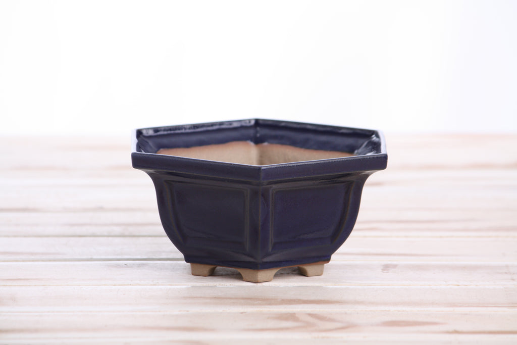 Willow Bonsai Ceramics Hexagonal Windowed Bonsai Pot 5 Inch – Semi‑Cascade Planter, High‑Fired Frost‑Proof Stoneware with Drainage & Wiring Holes, Handmade in USA (Ruri)