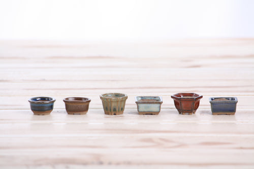 Willow Bonsai Ceramics 1 Inch Shito Bonsai Pot Set of 6 – Mini Handmade Ceramic Bonsai & Succulent Pots, High‑Fired Stoneware with Drainage, Made in USA (Set A)