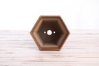 Willow Bonsai Ceramics Hexagonal Windowed Cascade Bonsai Pot 5 Inch – Tall Ceramic Cascade Planter, High‑Fired Frost‑Proof Stoneware with Drainage & Wiring Holes, Handmade in USA (Deep Stone)