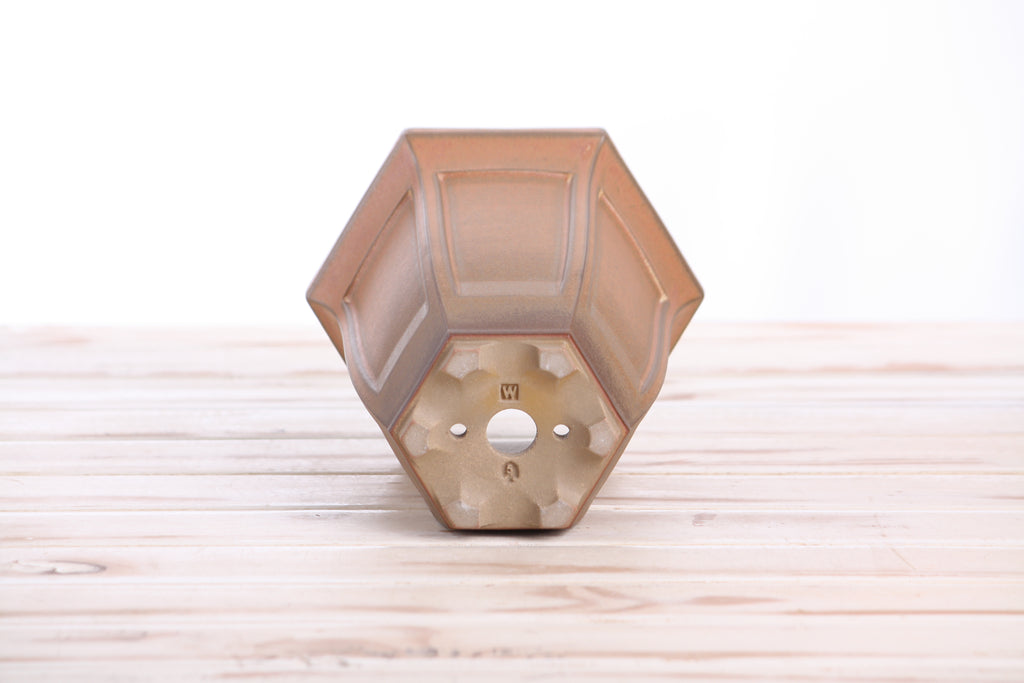 Willow Bonsai Ceramics Hexagonal Windowed Cascade Bonsai Pot 5 Inch – Tall Ceramic Cascade Planter, High‑Fired Frost‑Proof Stoneware with Drainage & Wiring Holes, Handmade in USA (Deep Stone)