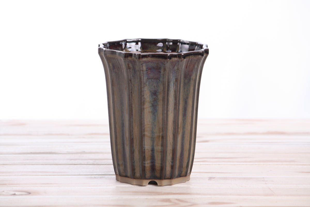 Willow Bonsai Ceramics Flower Design Cascade Bonsai Pot 5 Inch – Elegant Tall Ceramic Bonsai & Succulent Planter, High‑Fired Frost‑Proof Stoneware with Drainage & Wiring Holes, Handmade in USA (Dark Honey)