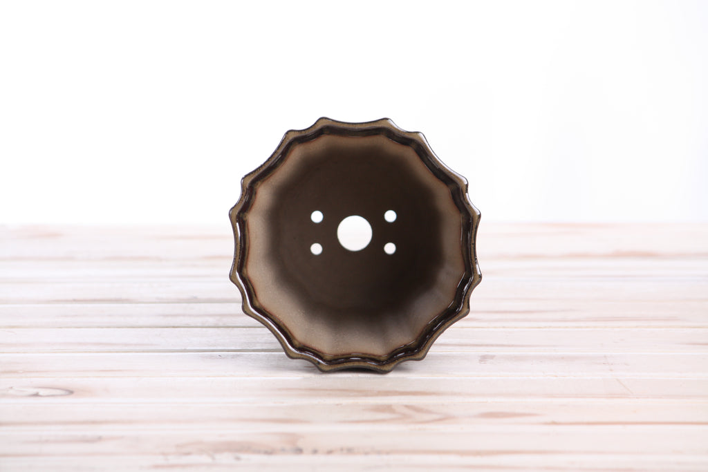 Willow Bonsai Ceramics Flower Design Cascade Bonsai Pot 5 Inch – Elegant Tall Ceramic Bonsai & Succulent Planter, High‑Fired Frost‑Proof Stoneware with Drainage & Wiring Holes, Handmade in USA (Dark Honey)