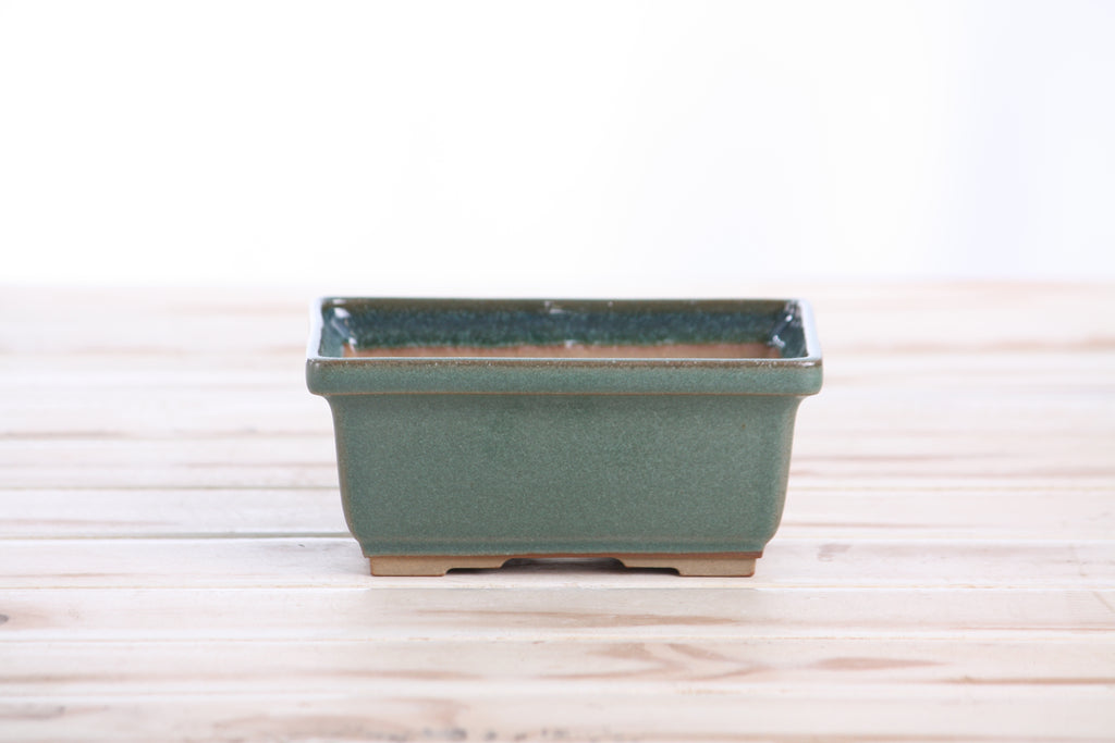 Willow Bonsai Ceramics Rectangle Deep Bonsai Pot 5 Inch – Higher‑Profile Rectangular Ceramic Bonsai & Succulent Planter with Accentuated Rim, High‑Fired Frost‑Proof Stoneware, Handmade in USA (Seaweed 2025)