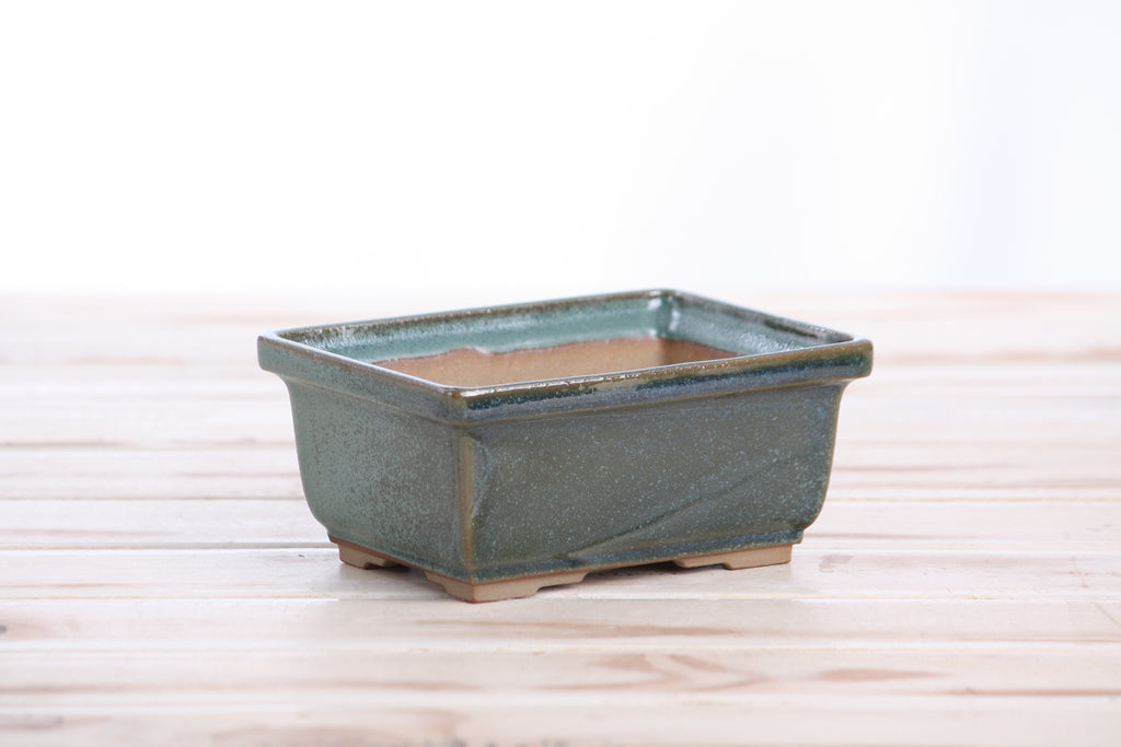 Willow Bonsai Ceramics Rectangle Deep Bonsai Pot 5 Inch – Higher‑Profile Rectangular Ceramic Bonsai & Succulent Planter with Accentuated Rim, High‑Fired Frost‑Proof Stoneware, Handmade in USA (Seaweed 2025)