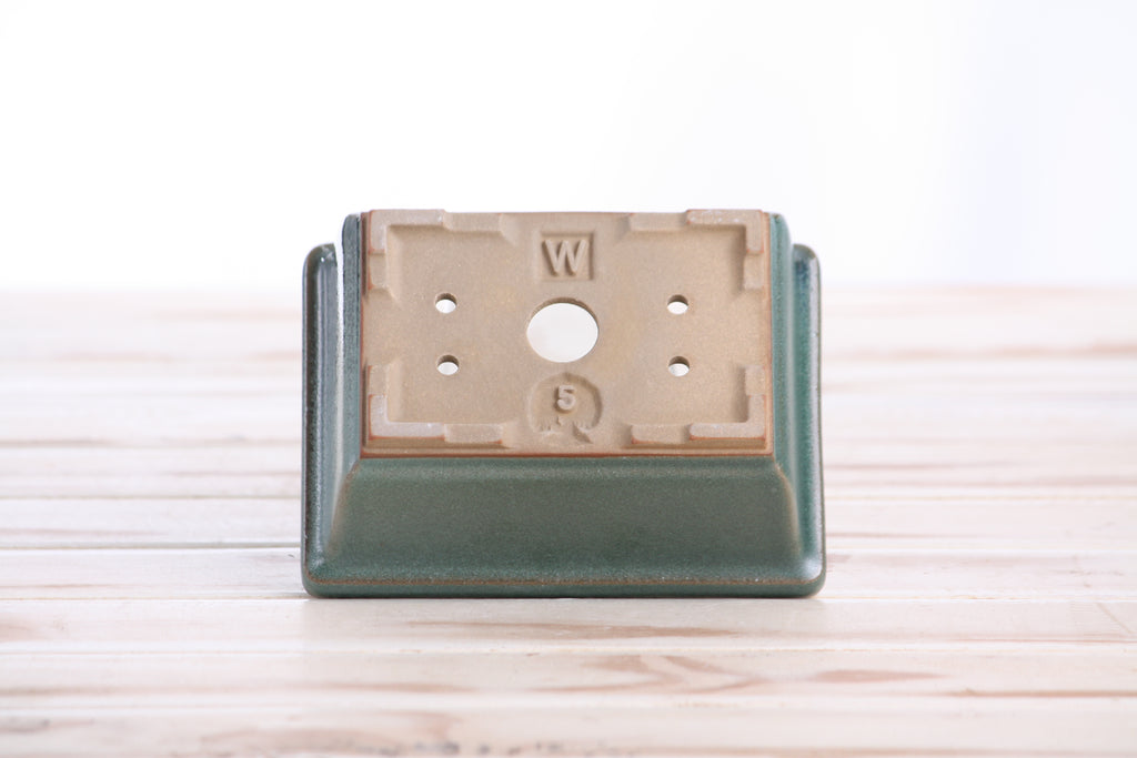 Willow Bonsai Ceramics Rectangle Deep Bonsai Pot 5 Inch – Higher‑Profile Rectangular Ceramic Bonsai & Succulent Planter with Accentuated Rim, High‑Fired Frost‑Proof Stoneware, Handmade in USA (Seaweed 2025)