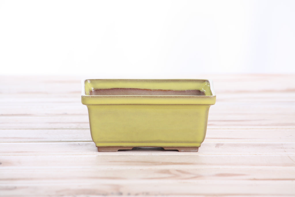 Willow Bonsai Ceramics Rectangle Deep Bonsai Pot 5 Inch – Higher‑Profile Rectangular Ceramic Bonsai & Succulent Planter with Accentuated Rim, High‑Fired Frost‑Proof Stoneware, Handmade in USA (Yellow)