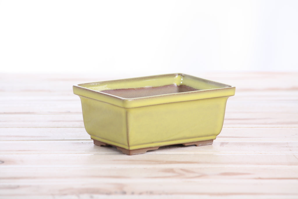 Willow Bonsai Ceramics Rectangle Deep Bonsai Pot 5 Inch – Higher‑Profile Rectangular Ceramic Bonsai & Succulent Planter with Accentuated Rim, High‑Fired Frost‑Proof Stoneware, Handmade in USA (Yellow)