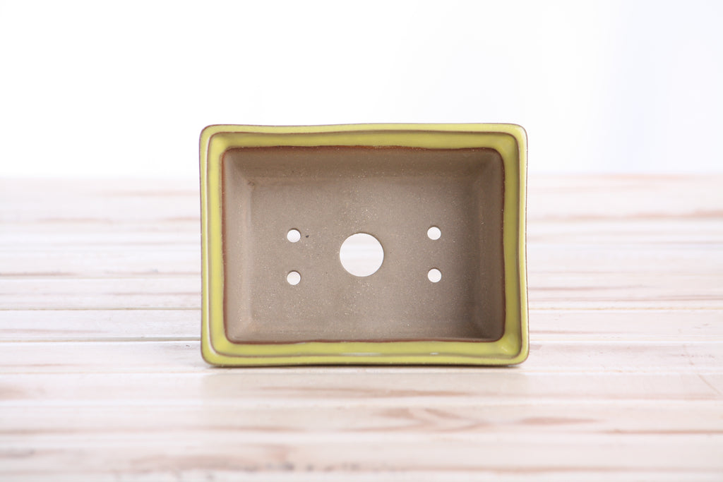 Willow Bonsai Ceramics Rectangle Deep Bonsai Pot 5 Inch – Higher‑Profile Rectangular Ceramic Bonsai & Succulent Planter with Accentuated Rim, High‑Fired Frost‑Proof Stoneware, Handmade in USA (Yellow)