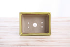 Willow Bonsai Ceramics Rectangle Deep Bonsai Pot 5 Inch – Higher‑Profile Rectangular Ceramic Bonsai & Succulent Planter with Accentuated Rim, High‑Fired Frost‑Proof Stoneware, Handmade in USA (Yellow)