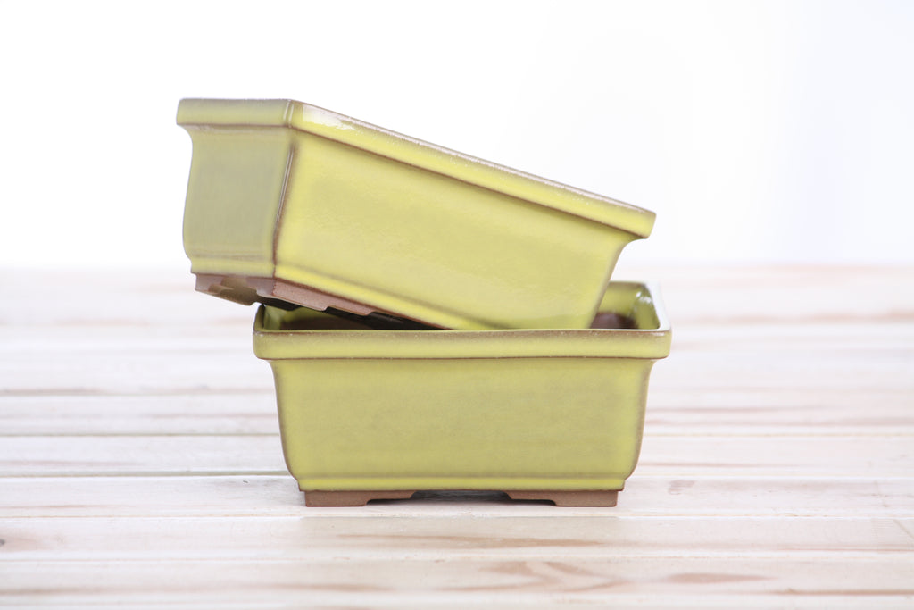 Willow Bonsai Ceramics Rectangle Deep Bonsai Pot 5 Inch – Higher‑Profile Rectangular Ceramic Bonsai & Succulent Planter with Accentuated Rim, High‑Fired Frost‑Proof Stoneware, Handmade in USA (Yellow)