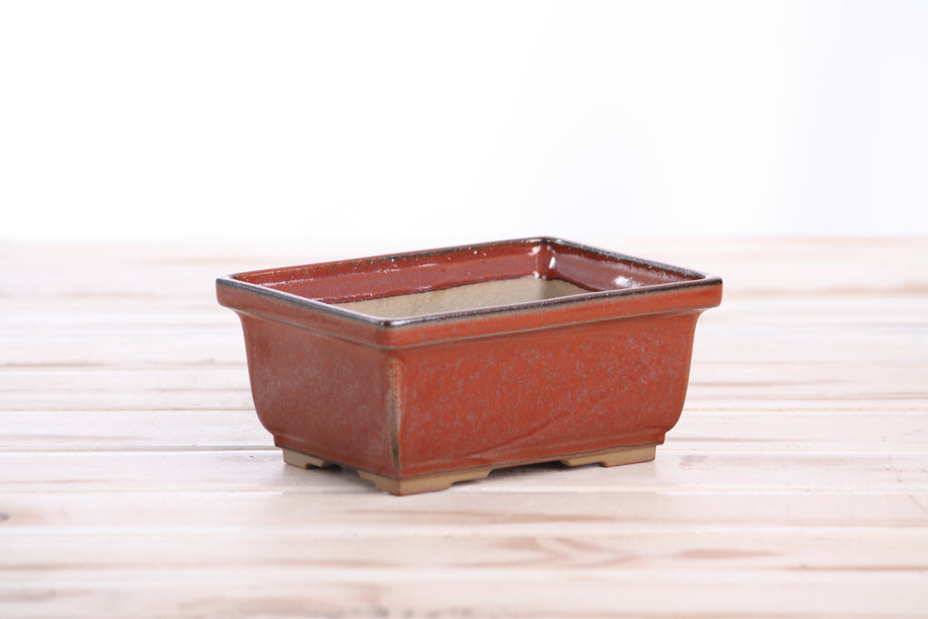 Willow Bonsai Ceramics Rectangle Deep Bonsai Pot 5 Inch – Higher‑Profile Rectangular Ceramic Bonsai & Succulent Planter with Accentuated Rim, High‑Fired Frost‑Proof Stoneware, Handmade in USA (Sunset)