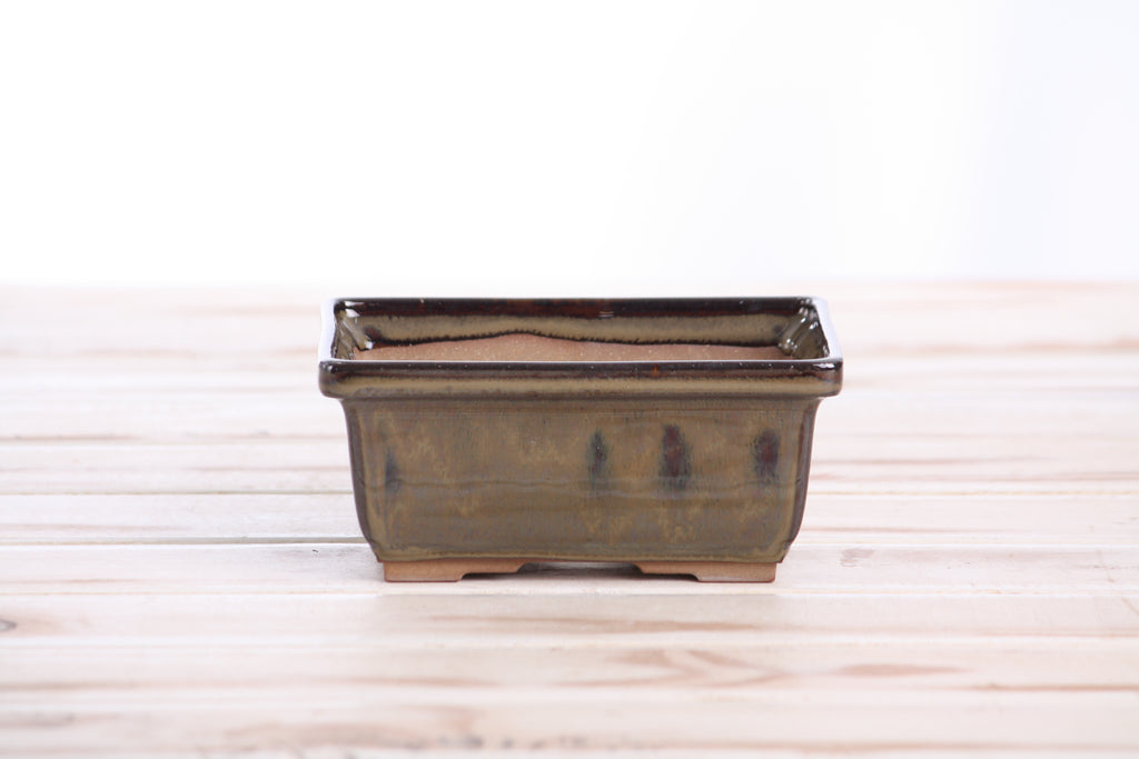 Willow Bonsai Ceramics Rectangle Deep Bonsai Pot 5 Inch – Higher‑Profile Rectangular Ceramic Bonsai & Succulent Planter with Accentuated Rim, High‑Fired Frost‑Proof Stoneware, Handmade in USA (Dark Honey)