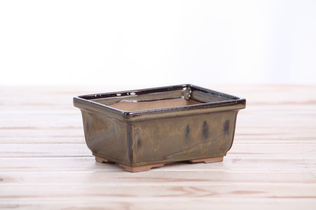 Willow Bonsai Ceramics Rectangle Deep Bonsai Pot 5 Inch – Higher‑Profile Rectangular Ceramic Bonsai & Succulent Planter with Accentuated Rim, High‑Fired Frost‑Proof Stoneware, Handmade in USA (Dark Honey)