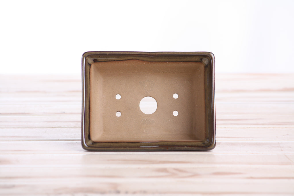 Willow Bonsai Ceramics Rectangle Deep Bonsai Pot 5 Inch – Higher‑Profile Rectangular Ceramic Bonsai & Succulent Planter with Accentuated Rim, High‑Fired Frost‑Proof Stoneware, Handmade in USA (Dark Honey)