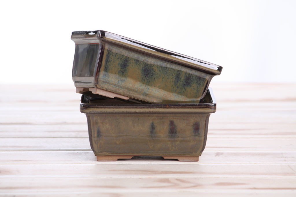 Willow Bonsai Ceramics Rectangle Deep Bonsai Pot 5 Inch – Higher‑Profile Rectangular Ceramic Bonsai & Succulent Planter with Accentuated Rim, High‑Fired Frost‑Proof Stoneware, Handmade in USA (Dark Honey)