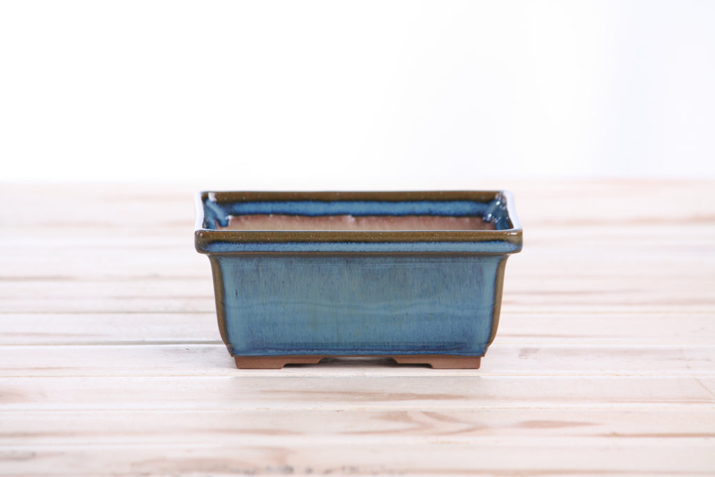 Willow Bonsai Ceramics Rectangle Deep Bonsai Pot 5 Inch – Higher‑Profile Rectangular Ceramic Bonsai & Succulent Planter with Accentuated Rim, High‑Fired Frost‑Proof Stoneware, Handmade in USA (Peacock 2025)