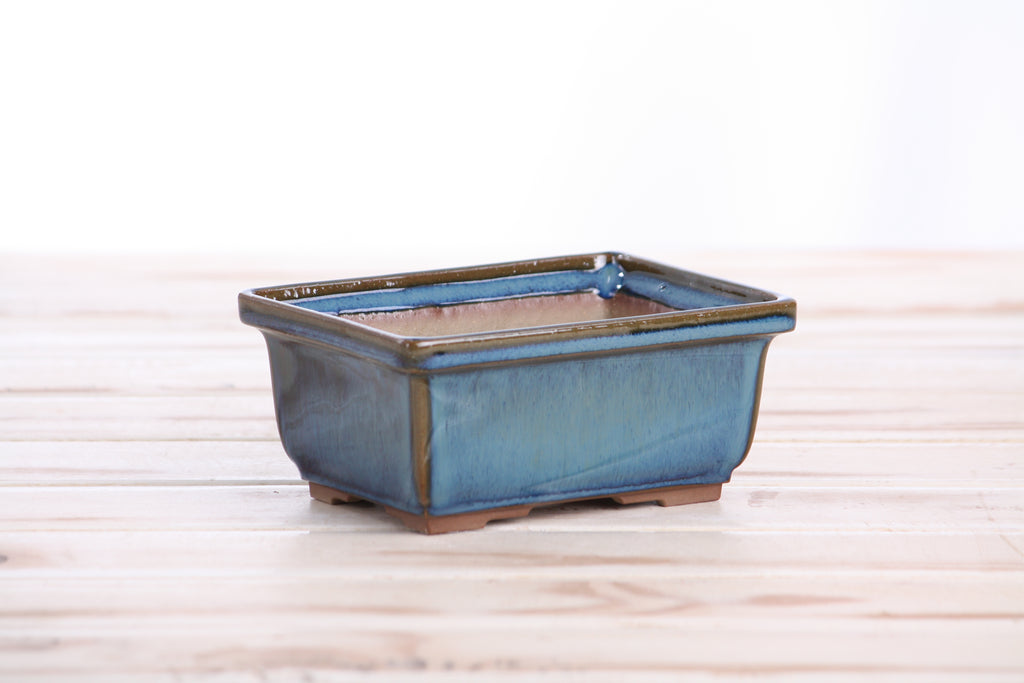 Willow Bonsai Ceramics Rectangle Deep Bonsai Pot 5 Inch – Higher‑Profile Rectangular Ceramic Bonsai & Succulent Planter with Accentuated Rim, High‑Fired Frost‑Proof Stoneware, Handmade in USA (Peacock 2025)