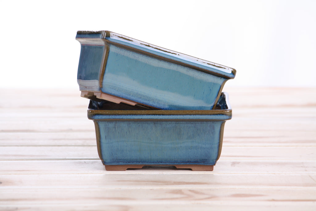 Willow Bonsai Ceramics Rectangle Deep Bonsai Pot 5 Inch – Higher‑Profile Rectangular Ceramic Bonsai & Succulent Planter with Accentuated Rim, High‑Fired Frost‑Proof Stoneware, Handmade in USA (Peacock 2025)