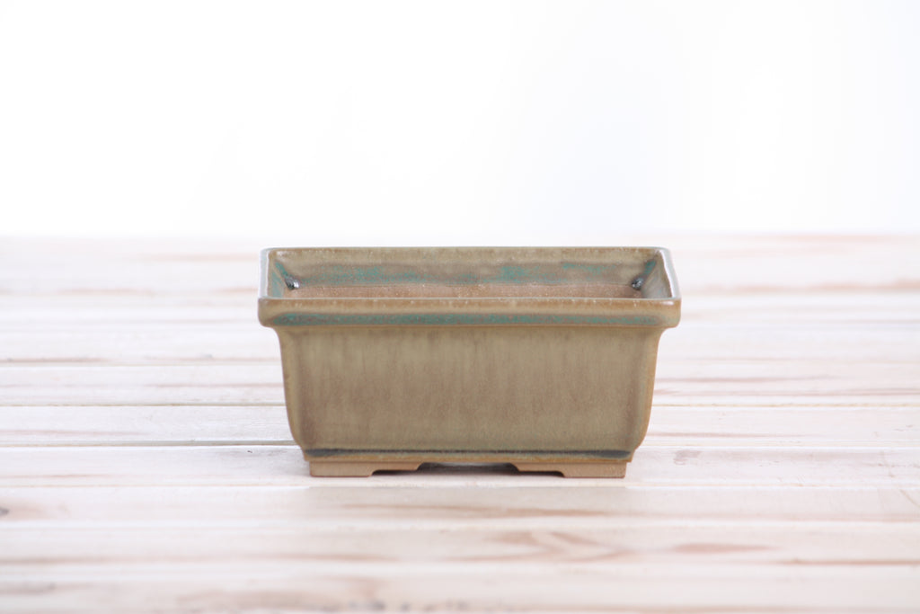 Willow Bonsai Ceramics Rectangle Deep Bonsai Pot 5 Inch – Higher‑Profile Rectangular Ceramic Bonsai & Succulent Planter with Accentuated Rim, High‑Fired Frost‑Proof Stoneware, Handmade in USA (Speckled Moss)
