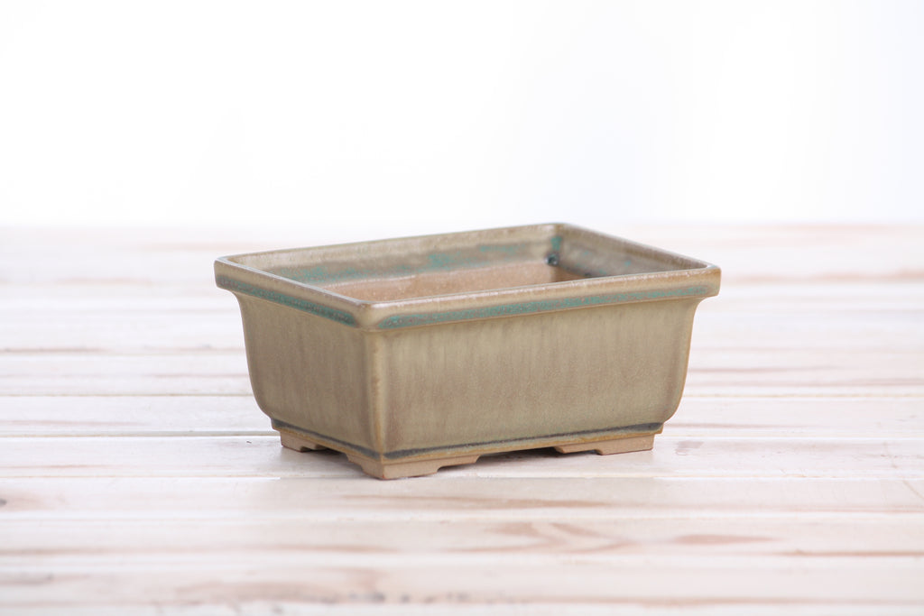 Willow Bonsai Ceramics Rectangle Deep Bonsai Pot 5 Inch – Higher‑Profile Rectangular Ceramic Bonsai & Succulent Planter with Accentuated Rim, High‑Fired Frost‑Proof Stoneware, Handmade in USA (Speckled Moss)