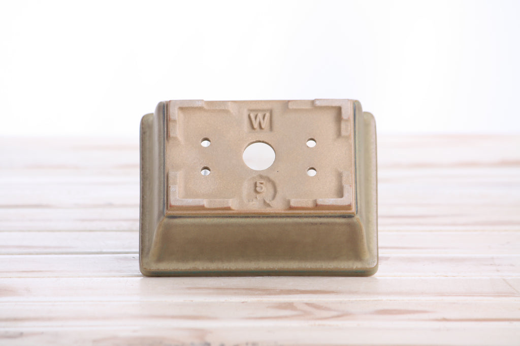 Willow Bonsai Ceramics Rectangle Deep Bonsai Pot 5 Inch – Higher‑Profile Rectangular Ceramic Bonsai & Succulent Planter with Accentuated Rim, High‑Fired Frost‑Proof Stoneware, Handmade in USA (Speckled Moss)