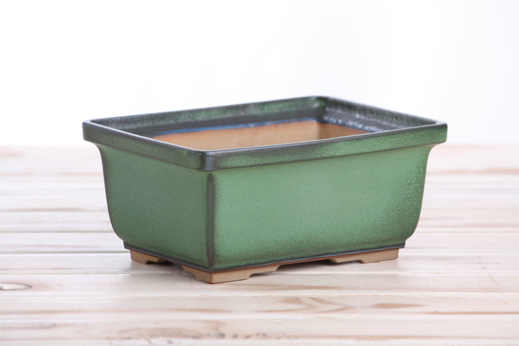 Willow Bonsai Ceramics Rectangle Deep Bonsai Pot 7 Inch – Higher‑Profile Rectangular Ceramic Bonsai & Succulent Planter with Accentuated Rim, High‑Fired Frost‑Proof Stoneware, Handmade in USA (Avocado)