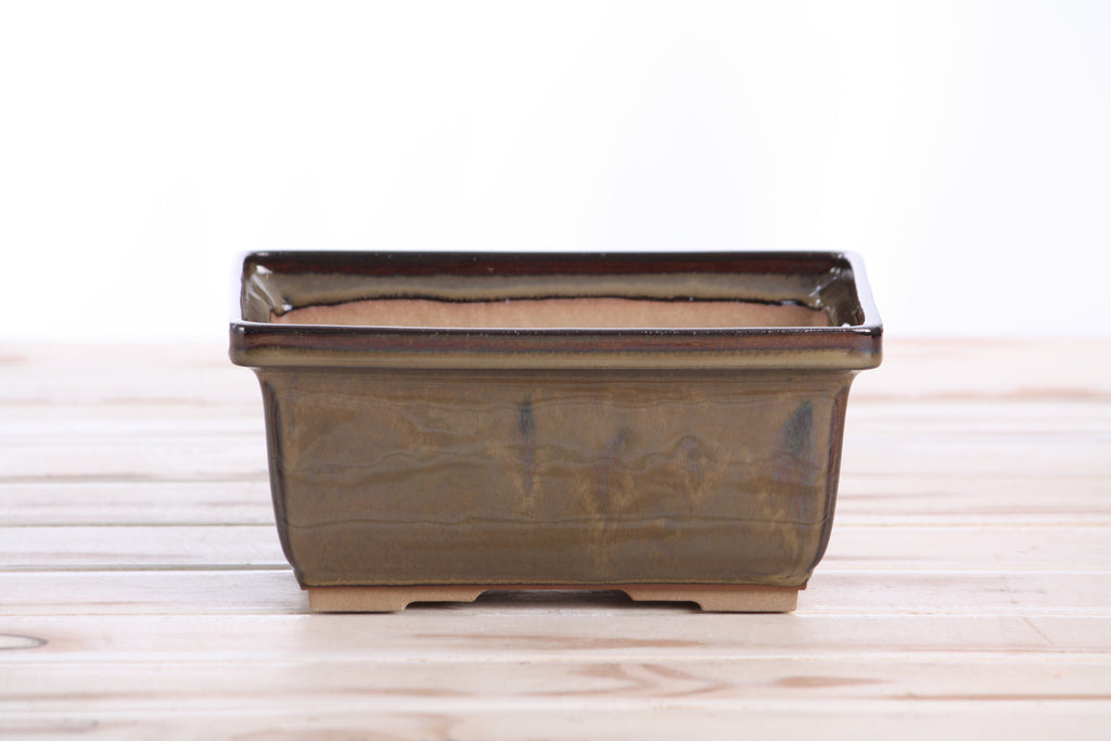Willow Bonsai Ceramics Rectangle Deep Bonsai Pot 7 Inch – Higher‑Profile Rectangular Ceramic Bonsai & Succulent Planter with Accentuated Rim, High‑Fired Frost‑Proof Stoneware, Handmade in USA (Dark Honey)