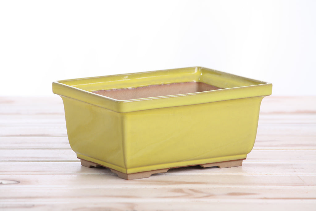 Willow Bonsai Ceramics Rectangle Deep Bonsai Pot 7 Inch – Higher‑Profile Rectangular Ceramic Bonsai & Succulent Planter with Accentuated Rim, High‑Fired Frost‑Proof Stoneware, Handmade in USA (Yellow)