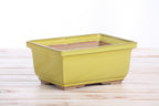 Willow Bonsai Ceramics Rectangle Deep Bonsai Pot 7 Inch – Higher‑Profile Rectangular Ceramic Bonsai & Succulent Planter with Accentuated Rim, High‑Fired Frost‑Proof Stoneware, Handmade in USA (Yellow)