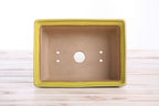 Willow Bonsai Ceramics Rectangle Deep Bonsai Pot 7 Inch – Higher‑Profile Rectangular Ceramic Bonsai & Succulent Planter with Accentuated Rim, High‑Fired Frost‑Proof Stoneware, Handmade in USA (Yellow)
