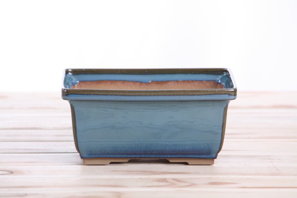 Willow Bonsai Ceramics Rectangle Deep Bonsai Pot 7 Inch – Higher‑Profile Rectangular Ceramic Bonsai & Succulent Planter with Accentuated Rim, High‑Fired Frost‑Proof Stoneware, Handmade in USA (Peacock 2025)