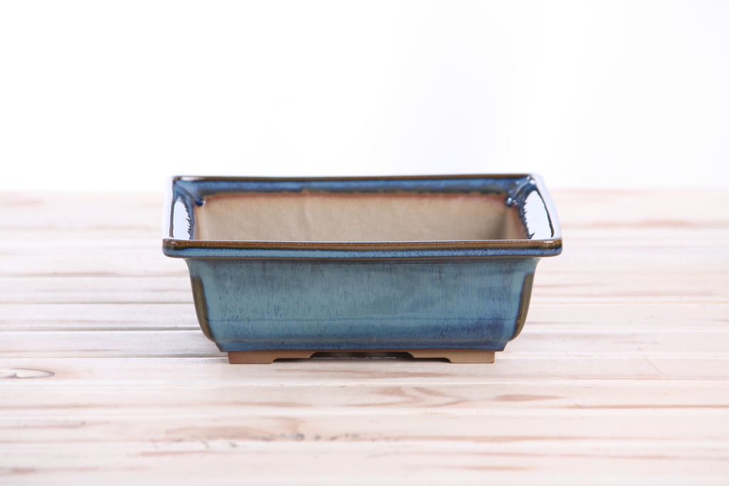 Willow Bonsai Ceramics Square Bonsai Pot 7 Inch – Low‑Profile Square Ceramic Bonsai & Succulent Planter with Accentuated Rim, High‑Fired Frost‑Proof Stoneware, Handmade in USA (Peacock 2025)