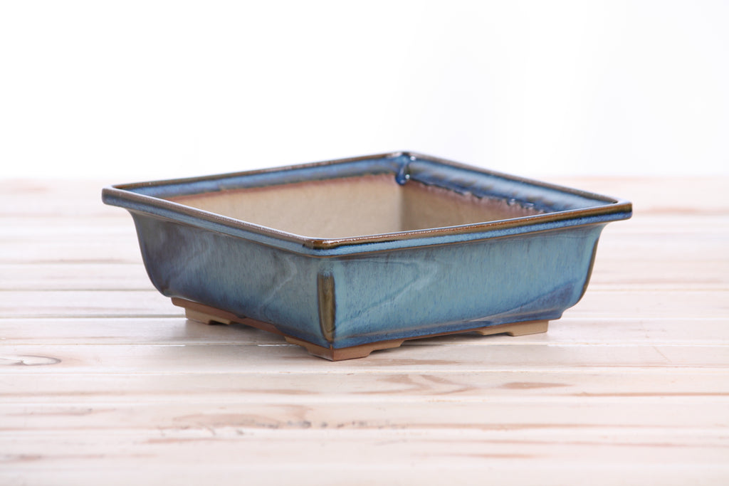 Willow Bonsai Ceramics Square Bonsai Pot 7 Inch – Low‑Profile Square Ceramic Bonsai & Succulent Planter with Accentuated Rim, High‑Fired Frost‑Proof Stoneware, Handmade in USA (Peacock 2025)