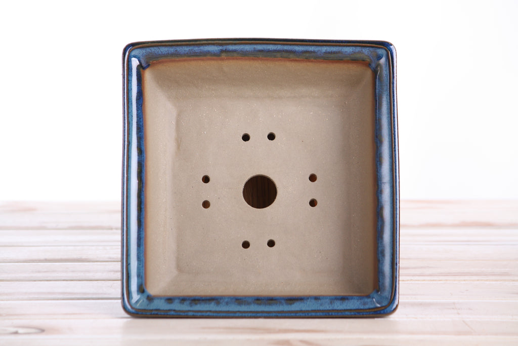 Willow Bonsai Ceramics Square Bonsai Pot 7 Inch – Low‑Profile Square Ceramic Bonsai & Succulent Planter with Accentuated Rim, High‑Fired Frost‑Proof Stoneware, Handmade in USA (Peacock 2025)