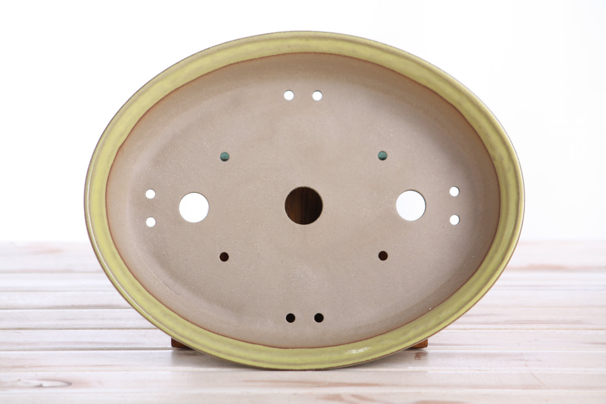 Willow Bonsai Ceramics Landscape Oval A Bonsai Pot 10 Inch – Large Oval Ceramic Bonsai Planter for Forest, Group & Specimen Tree Plantings, High‑Fired Frost‑Proof Stoneware, Handmade in USA (Yellow)