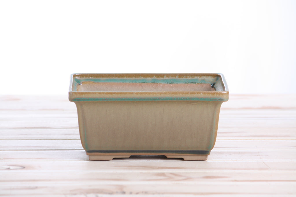Willow Bonsai Ceramics Rectangle Deep Bonsai Pot 7 Inch – Higher‑Profile Rectangular Ceramic Bonsai & Succulent Planter with Accentuated Rim, High‑Fired Frost‑Proof Stoneware, Handmade in USA (Speckled Moss)
