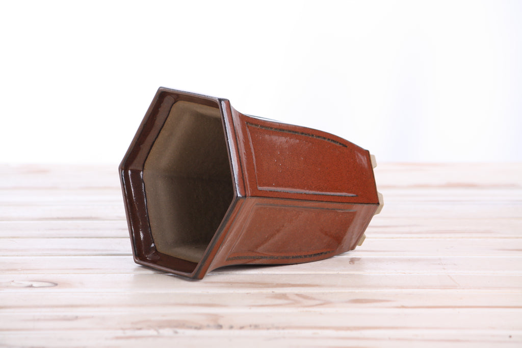 Willow Bonsai Ceramics Hexagonal Windowed Cascade Bonsai Pot 5 Inch – Tall Ceramic Cascade Planter, High‑Fired Frost‑Proof Stoneware with Drainage & Wiring Holes, Handmade in USA (Sunset)