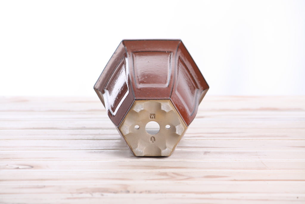 Willow Bonsai Ceramics Hexagonal Windowed Cascade Bonsai Pot 5 Inch – Tall Ceramic Cascade Planter, High‑Fired Frost‑Proof Stoneware with Drainage & Wiring Holes, Handmade in USA (Sunset)